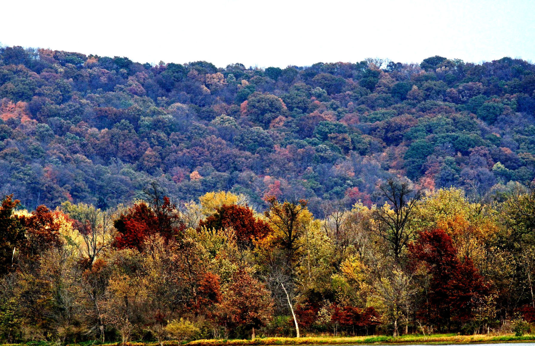 Two Rivers National Wildlife Refuge (copy)
